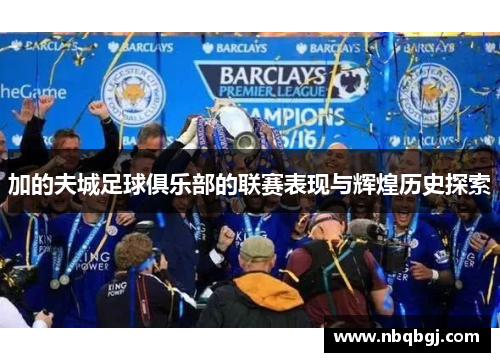 加的夫城足球俱乐部的联赛表现与辉煌历史探索